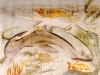 dolphin-and-mermaid-tile mural - Muralist Carolee Merril