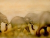 Elephant Walk Murall- Muralist Carolee Merrill