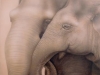 Elephant Tenderness Mural l - Muralist Carolee Merrill