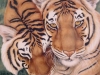 Tiger Tenderness Mural - Muralist Carolee Merrill