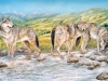 Wild Wolf Mural - Muralist Carolee Merrill