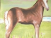 Horse Children's  Mural  - Muralist Carolee Merrill