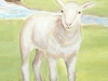 Little Lamb Children's  Mural  - Muralist Carolee Merrill