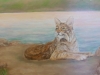 Dignity Hopital Murals - Muralist Carolee Merrill