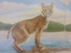 Dignity Hopital Murals - Bobcat Mural