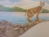 Dignity Hopital Murals - Bobcat Mural