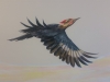Dignity Hospital Murals - Muralist Carolee Merrill