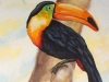 Toucan Tree Mural- Muralist Carolee Merrill