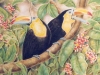 Toucan Tree Mural - Muralist Carolee Merrill