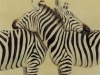 Zebra Tenderness Mural l- Muralist Carolee Merrill