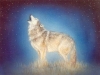 Night Howling Mural - Muralist Carolee Merrill