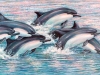 Aquatic Dolphin Murals - Muralist Carolee Merrill