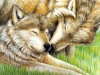 Wolf Tenderness Mural - Muralist Carolee Merrill