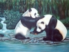 pandas02