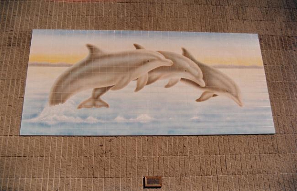 L-DanaHillsdolphins